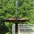 Adette Resin Pedestal Birdbath
