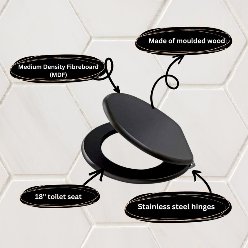 Actaeon Soft Close Elongated Standard Toilet Seat, Black