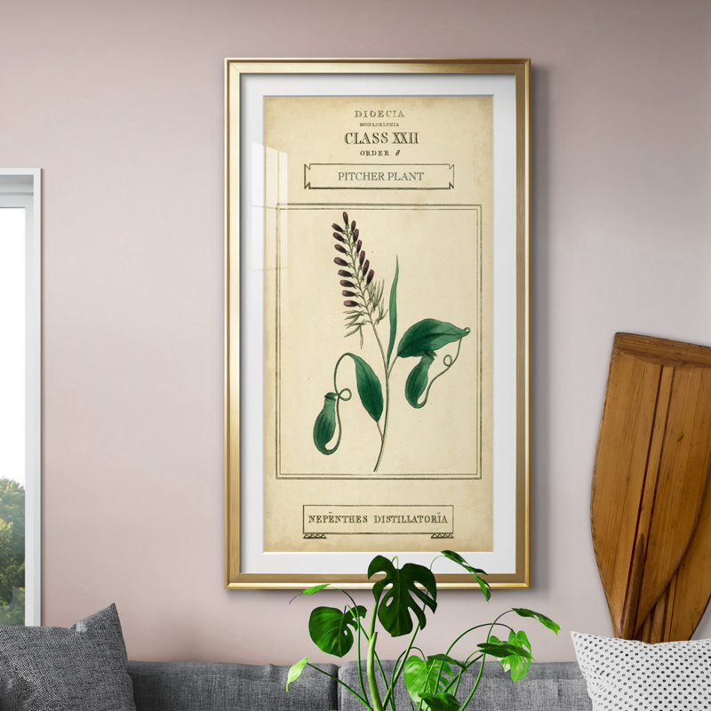Linnaean Botany II - peinture encadrée, H 14,5 po x l 26,5 po x P 1,5 po, Doré