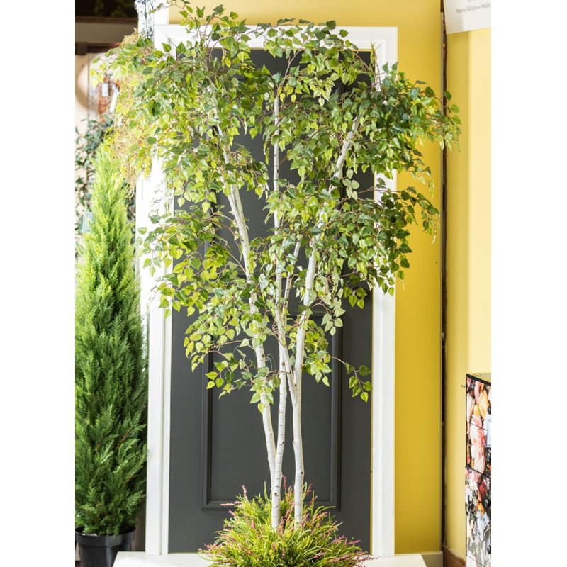 Faux Birch Tree in Planter, 96"H x 44"W x 38"D