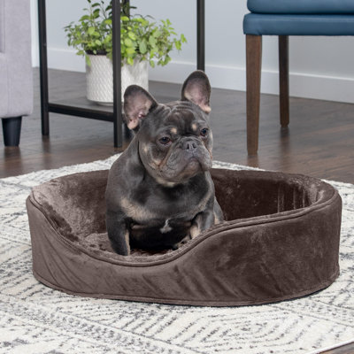 Plush & Velvet Oval Dog Bed