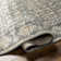 Antonella Oriental Indoor Rug