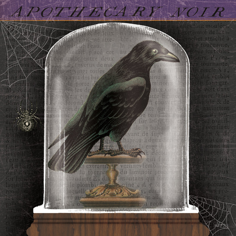 Apothecary Noir I - Wrapped Canvas Print, 30cm H x 30cm W