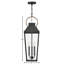 Hinkley Dawson Hanging Lantern