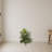 Areca Palm Artificial Plant