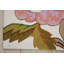 Floral Hand Woven Area Rug-1352751223