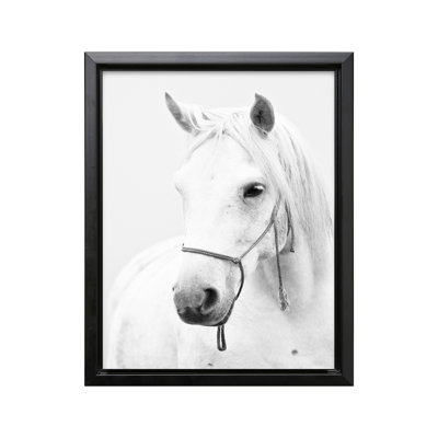 Portrait de cheval blanc