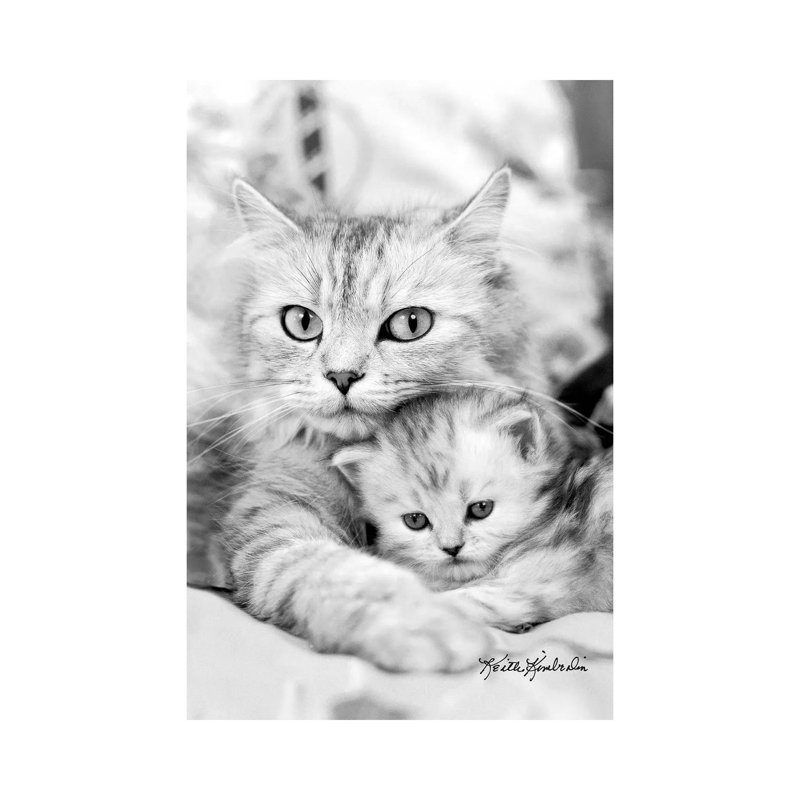 Twinkie & Kit by Keith Kimberlin - Print on Canvas, Wrapped Canvas, 20.32 cm H x 30.48 cm W