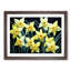 XH1022-644X Angelical Daffodil Flowers - Single Picture Frame Painting-1282436291-1282436288