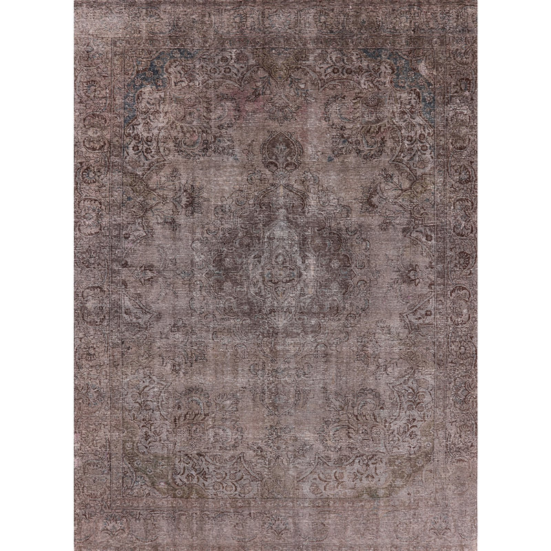 Riem Oriental Indoor Rug, Rectangle 4' x 6'