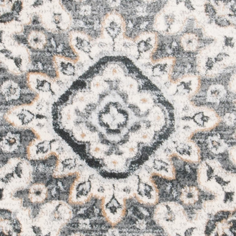 Delmer Oriental Grey Area Rug, Runner 2'2" x 7'