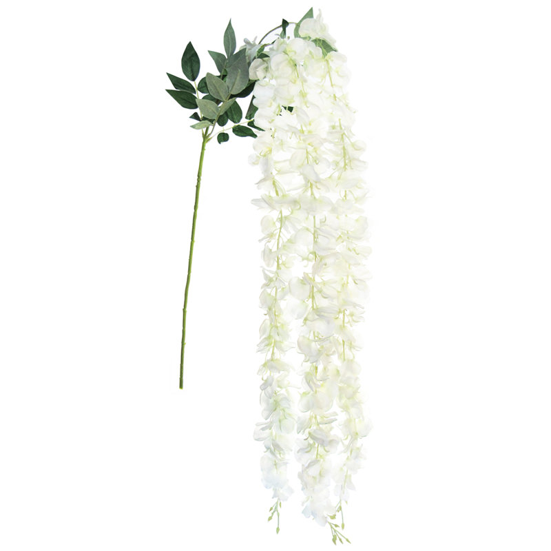 Longue tige de glycine suspendue, Crème
