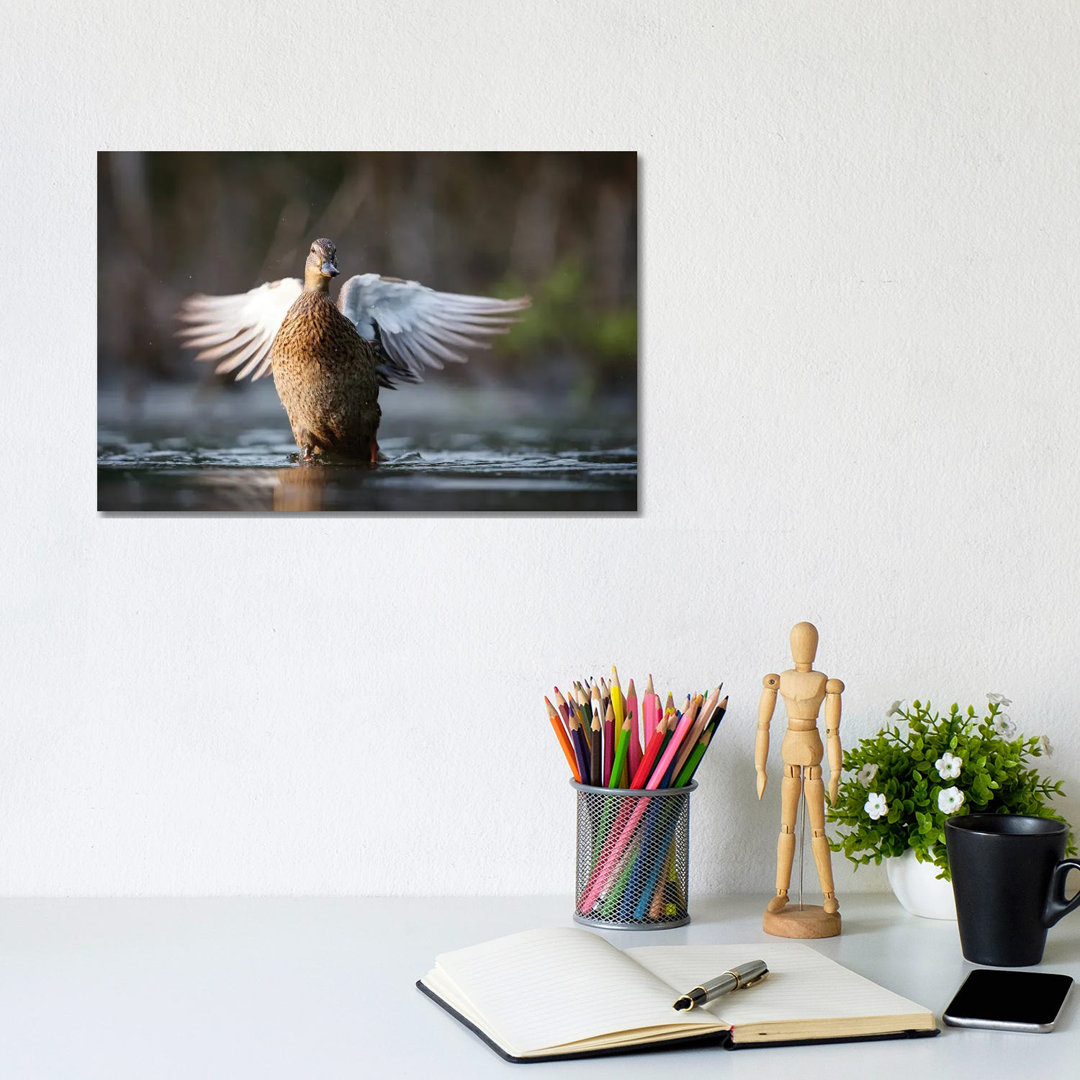 Mallard Duck by Mateusz Piesiak - Wrapped Canvas Print