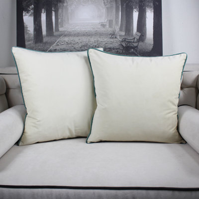 Ayania Velvet Throw Pillow