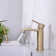 Single-Hole Single-handle Bathroom Faucet with Drain Assembly