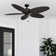 Duval 52" Indoor/Outdoor Ceiling Fan