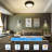 Glass LED Flush Mount-68351106