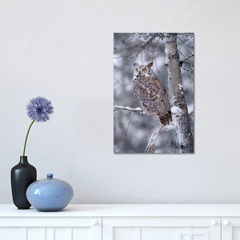 Great Horned Owl Perched in Tree Dusted with Snow 1 Piece Wrapped Canvas Wall Art, 30.48 cm H x 45.72 cm W