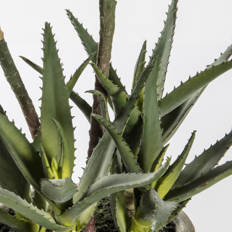 38cm Faux Succulent in Pot