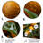 Modern Food & Beverage Wall Decor on Metal