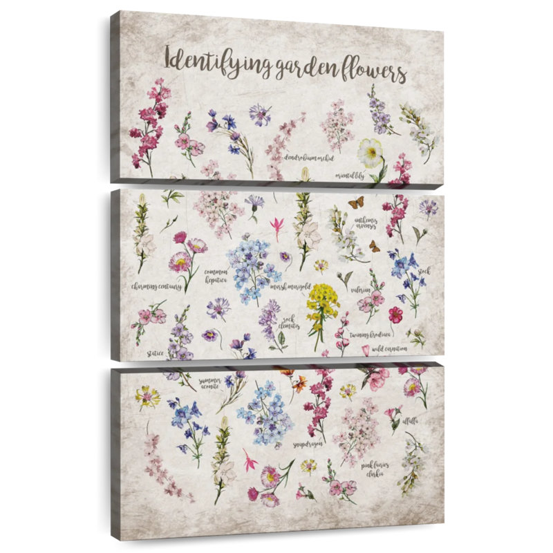 Harnek Flower Identification Chart, 57" H x 36" W