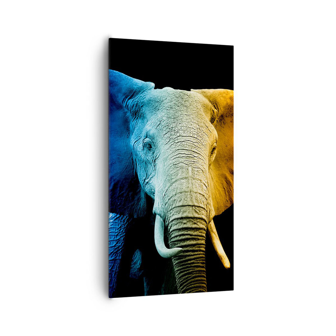 Leinwandbild Colorful Elephant