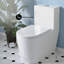 Toilette allongée une pièce à double chasse 1,1 / 1,6 gallon Liberte