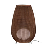 Amphora 48.43" LED Novelty Floor Lamp