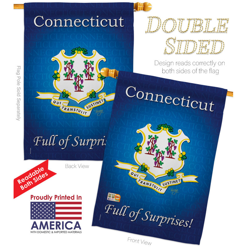 Double Sided 40'' H x 28'' W Polyester House Flag