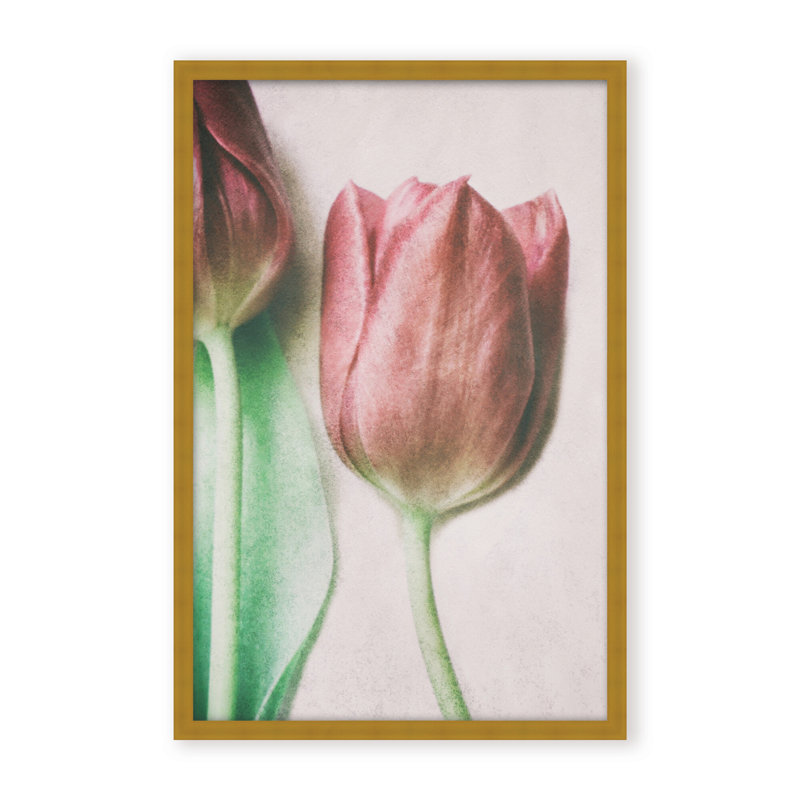 Nature Inspired The Spring Lovers by  - Picture Frame Graphic Art on Paper, 36" H x 24" W x 1.125" D, Framed Matted Print