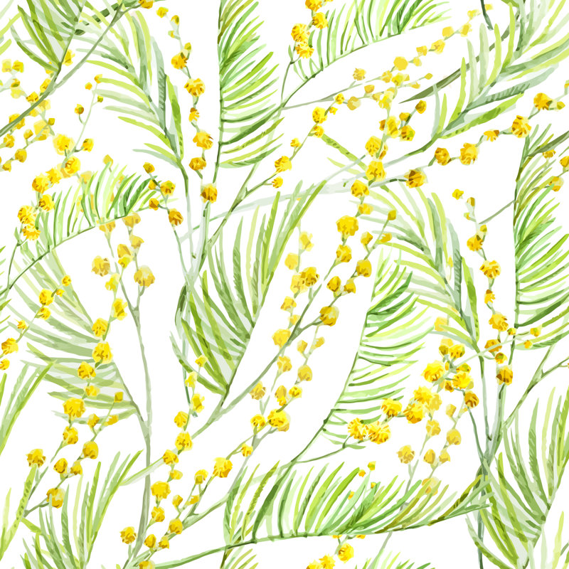 Rouleau de papier peint adhésif Poolesville Mimosa, L 16,67 po x l 25 po