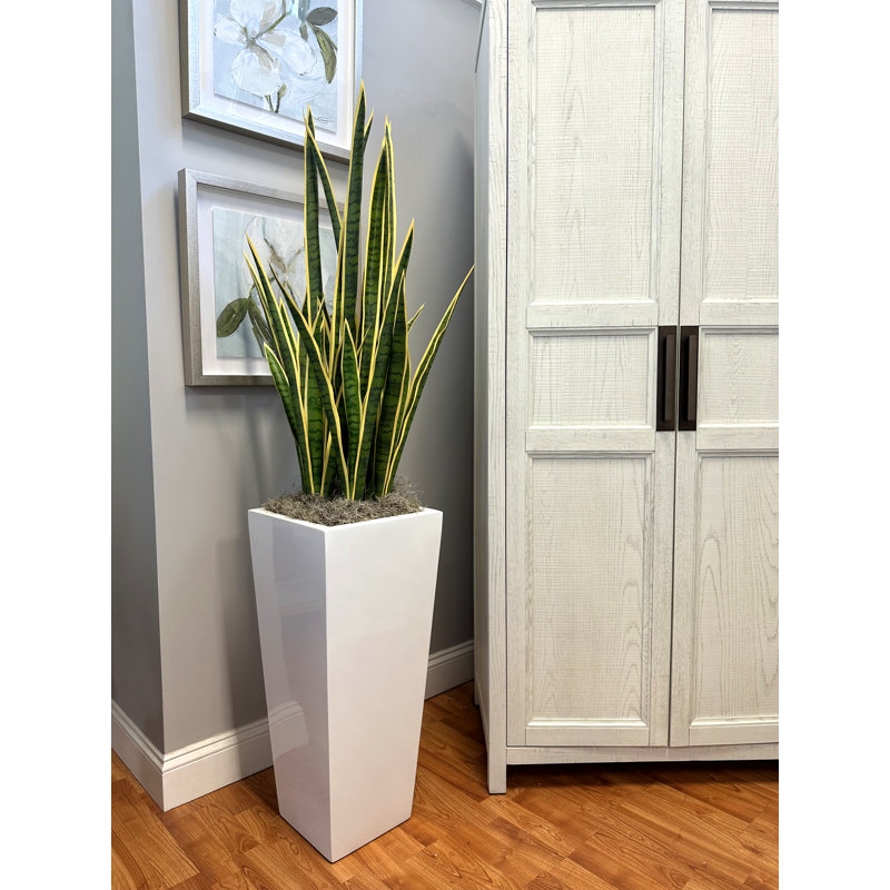 Faux Snake Plant (Sansevieria) Plant in Fiberstone Pot