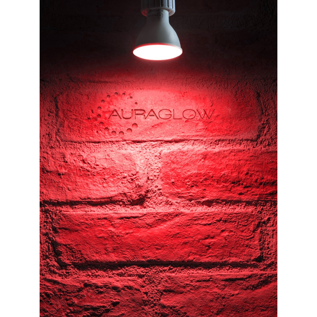 5W GU10 LED Spotlight Light Bulb (Set of 8)
