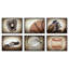 «Vintage Baseball Glove» par Saint and Sailor Studios, reproduction d'art sur toile encadrée