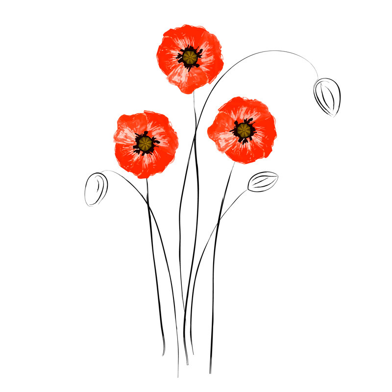 Coquelicots rouges Toto, H 12 po x l 12 po