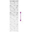 Room Darkening Roller Blind-426960514