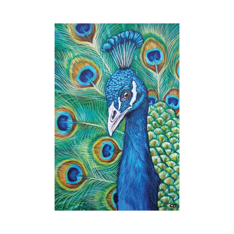 Peacock by Cyndi Dodes - Wrapped Canvas Gallery-Wrapped Canvas Giclée, 20.32 cm H x 30.48 cm W