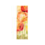 Watercolour Poppy Meadow Spice Panel Ii by Cynthia Coulter - Wrapped Canvas Panoramic Painting-1643716472-1683935456