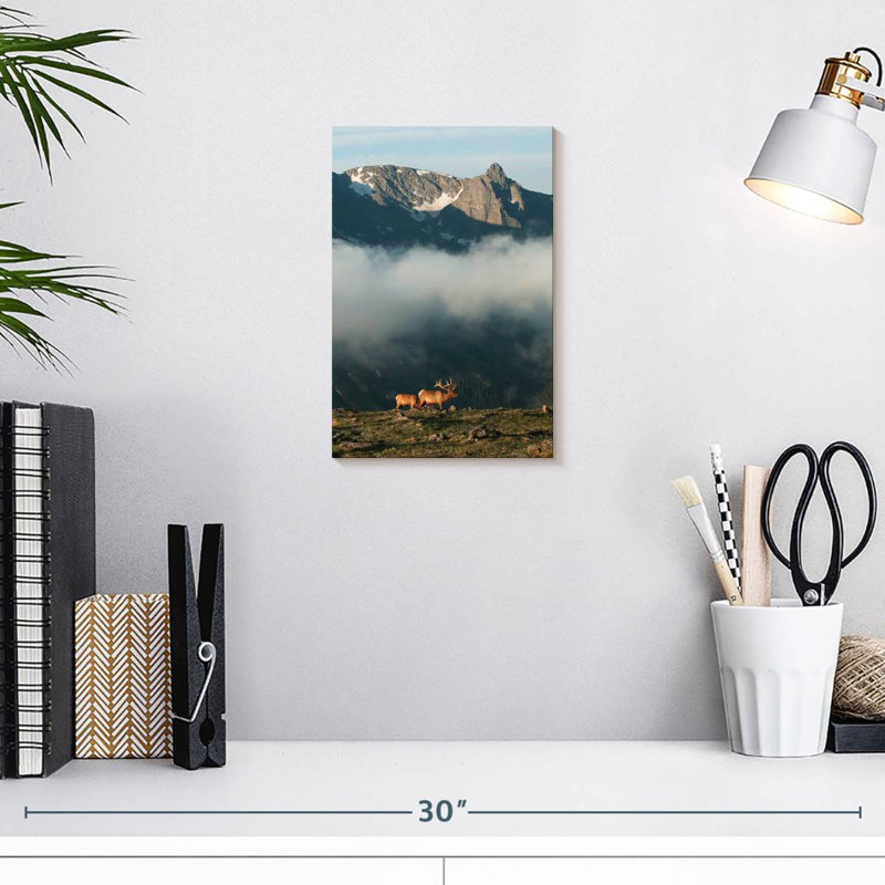 Alvord Rocky Mountain National Park Elks, 12" H x 8" W