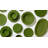 Olague Salad Bowl