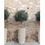 ZELKOVA Handmade Ceramic Pot Planter