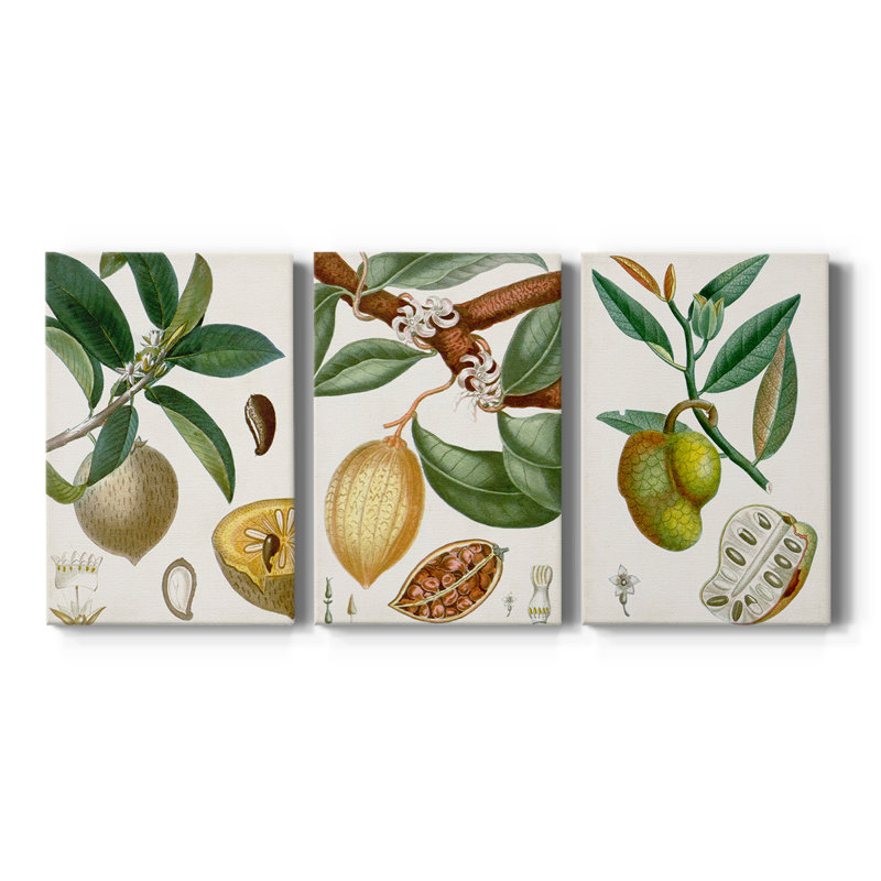 Turpin Tropical Fruit I - Toile tendue avec châssis sur mesure - 3 pièces, H 12 po x l 24 po