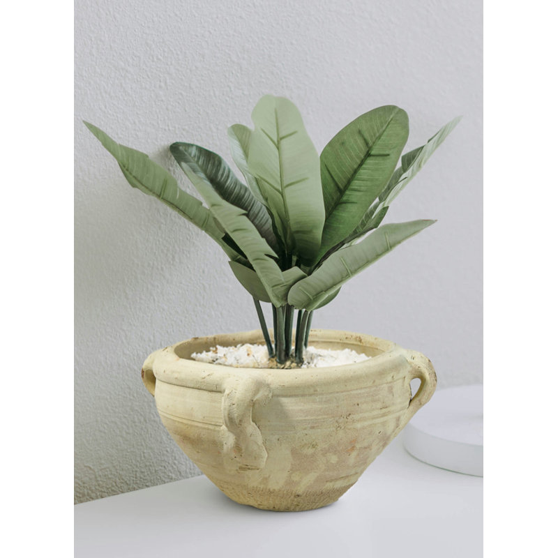 Jaanus Pot Planter