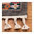 Hamish Performance Oriental Rug-1541721904