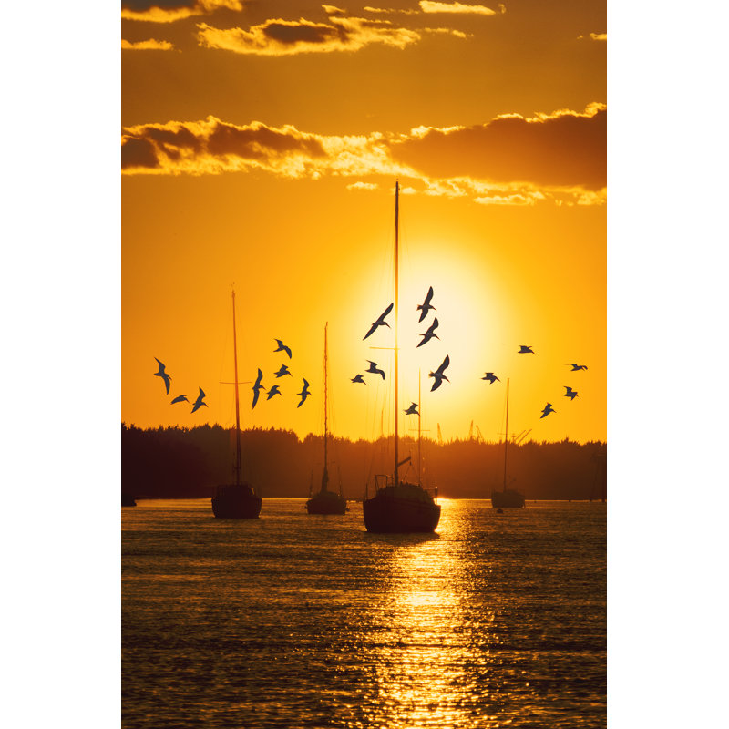 Water and Land II by P.H. Burchett - Photograph, 91 cm H x 61 cm W, Black Floater Framed
