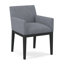 Upholstered Arm Chair-35998756-35998971