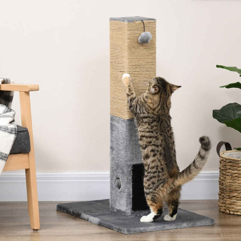 Grattoir pour chat, chat 31 po pour chats d'intérieur, gris