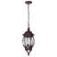 3 - Light Outdoor Hanging Lantern-16526727