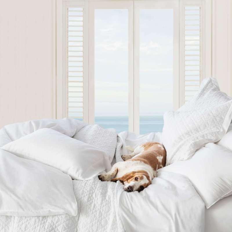 Washed Linen Quilted Sham, Standard, White
