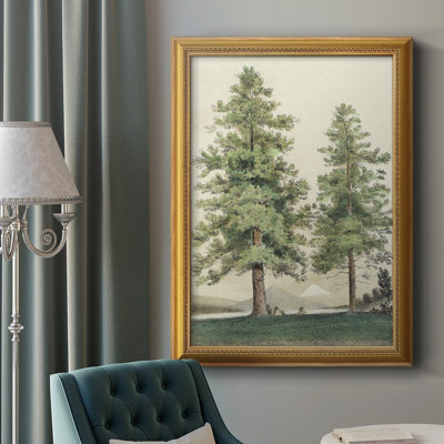 " Majestic Pine II "